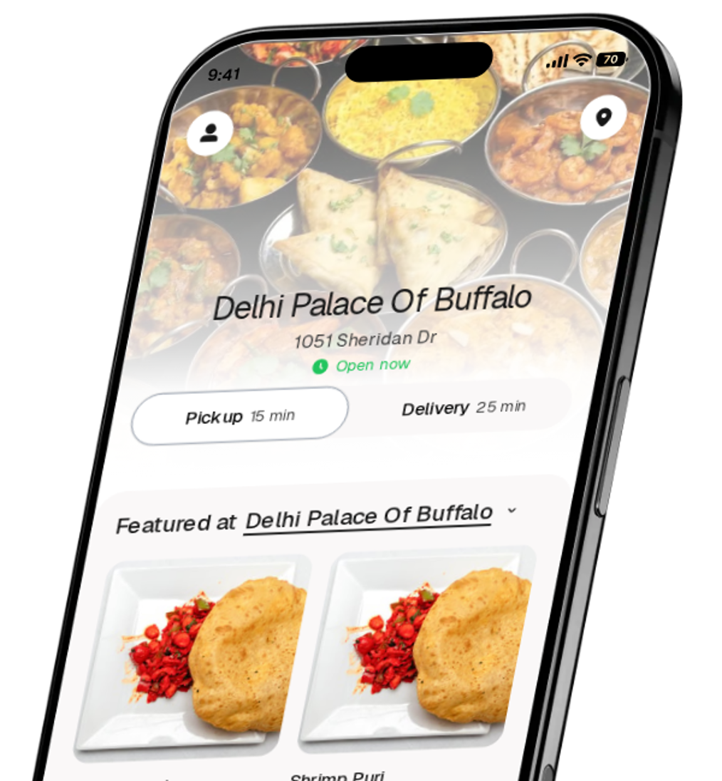 Delhi Palace Of Buffalo app preview